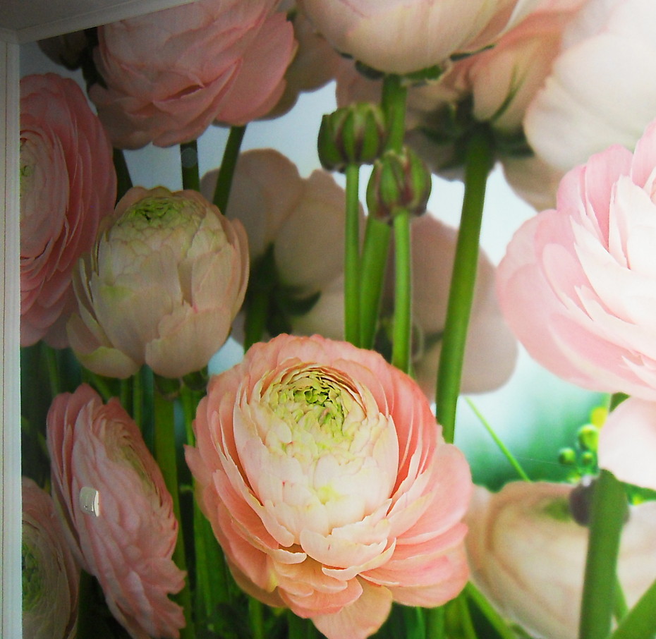 Мастер по ремонту квартир и офисов